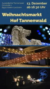 Weihnachtsmarktmotive für Islandpferdehof
