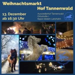 Weihnachtliche Motive für Islandpferdestall